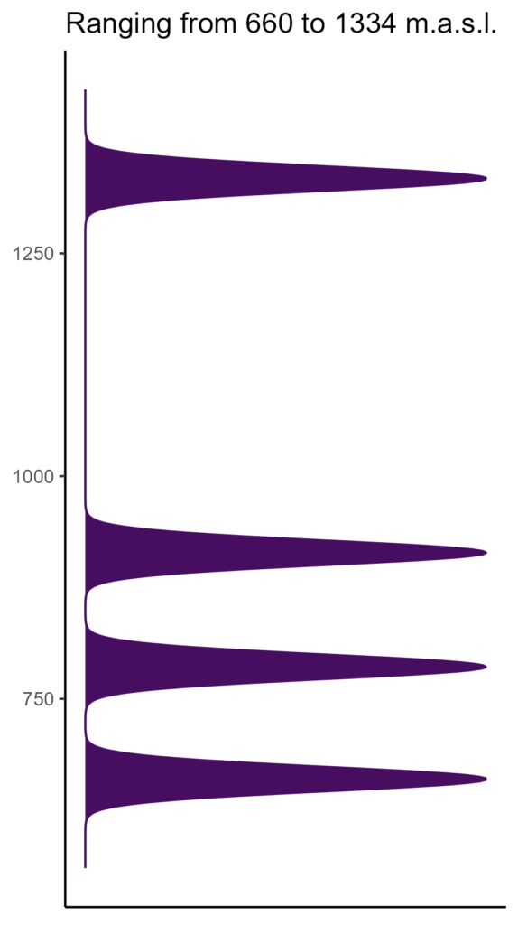 20260120 Vvs085 Elev 574x1024