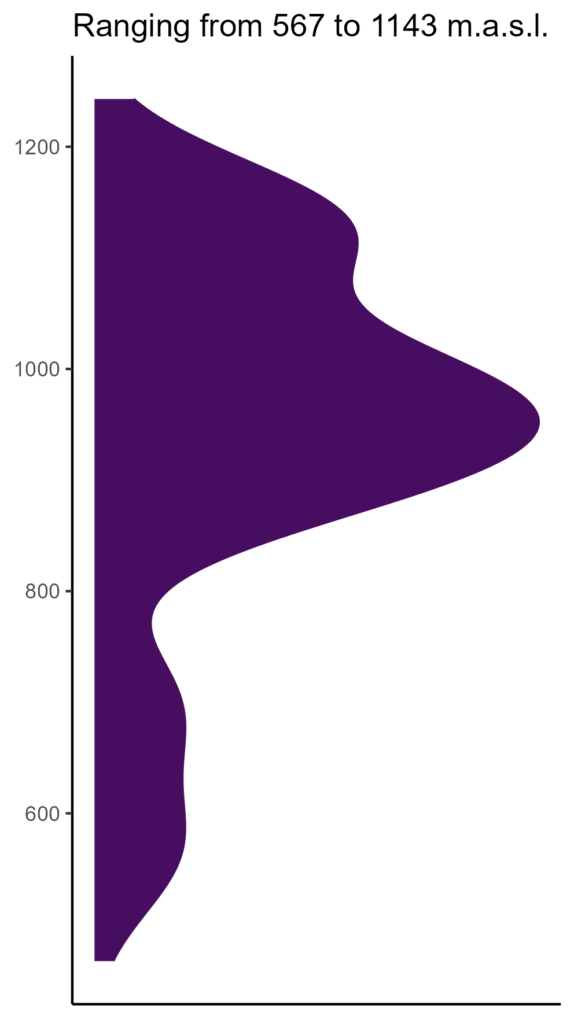 20260120 Vvs312 Elev 574x1024