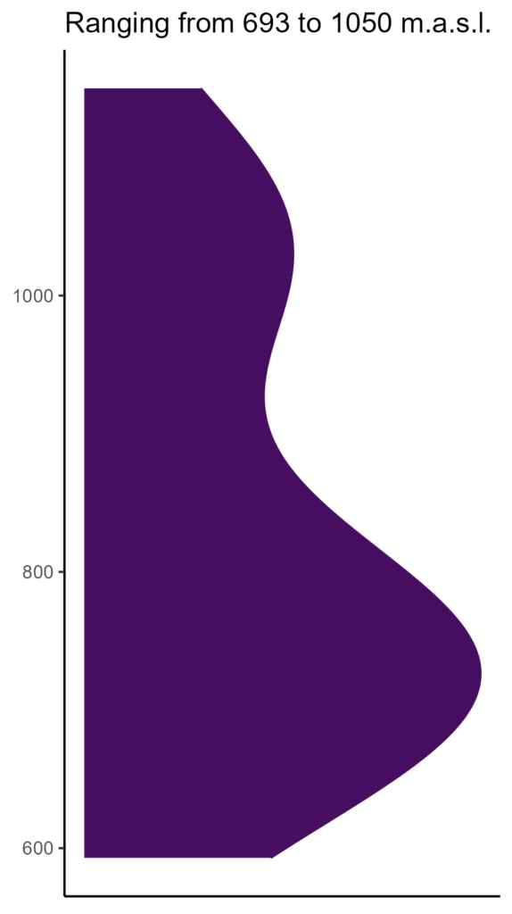 20260120 Vvt126 Elev 574x1024