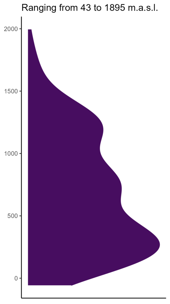 20260120 Vvt129 Elev 574x1024