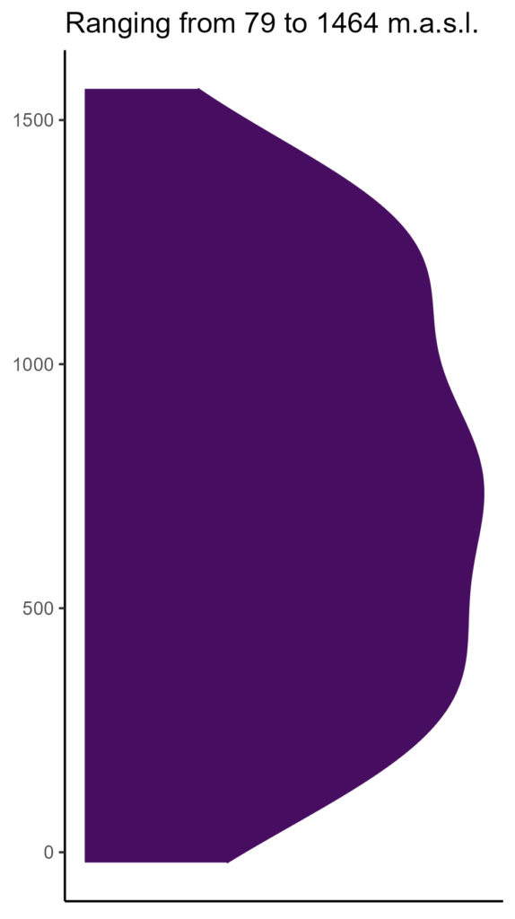 20260120 Vvv122 Elev 574x1024