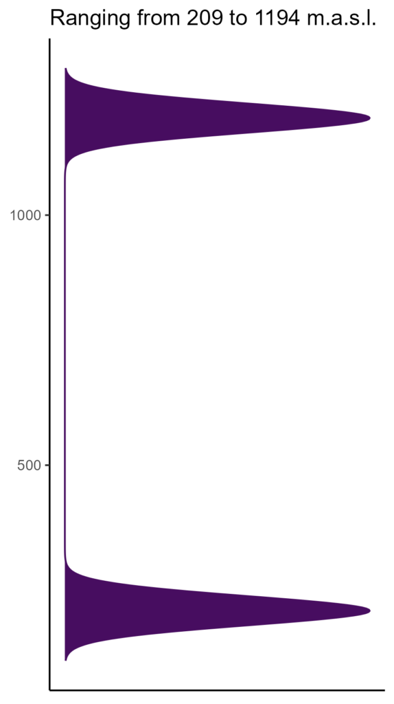 20260120 Vvv130 Elev 574x1024