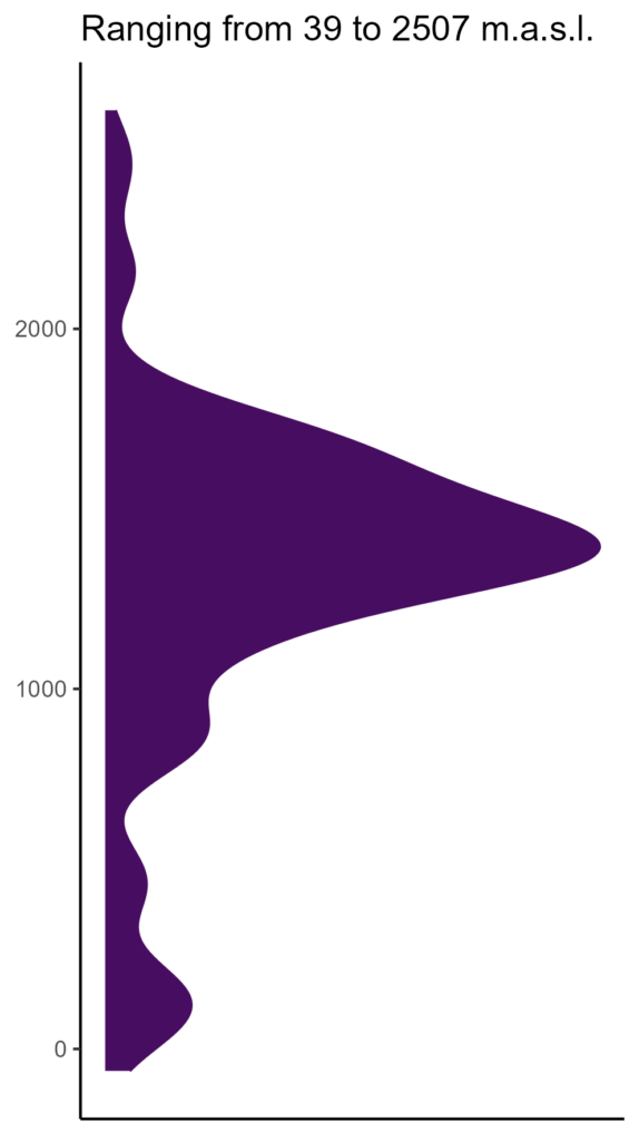 20260120 Vxd035 Elev 574x1024