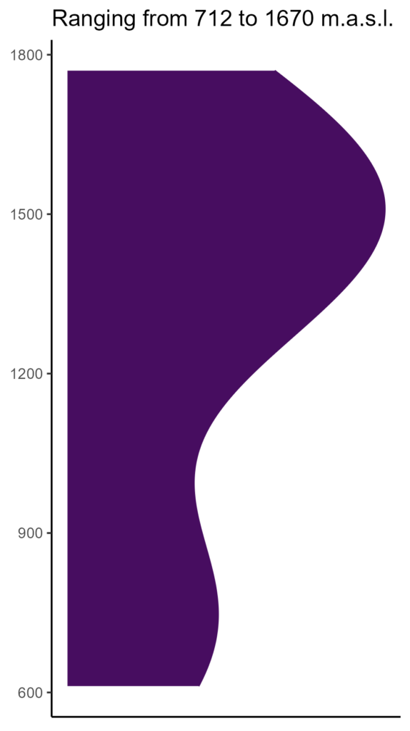 20260120 Vxe092 Elev 574x1024