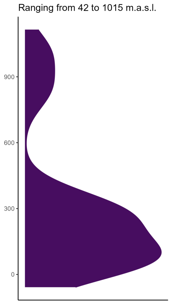 20260120 Vxp050 Elev 574x1024