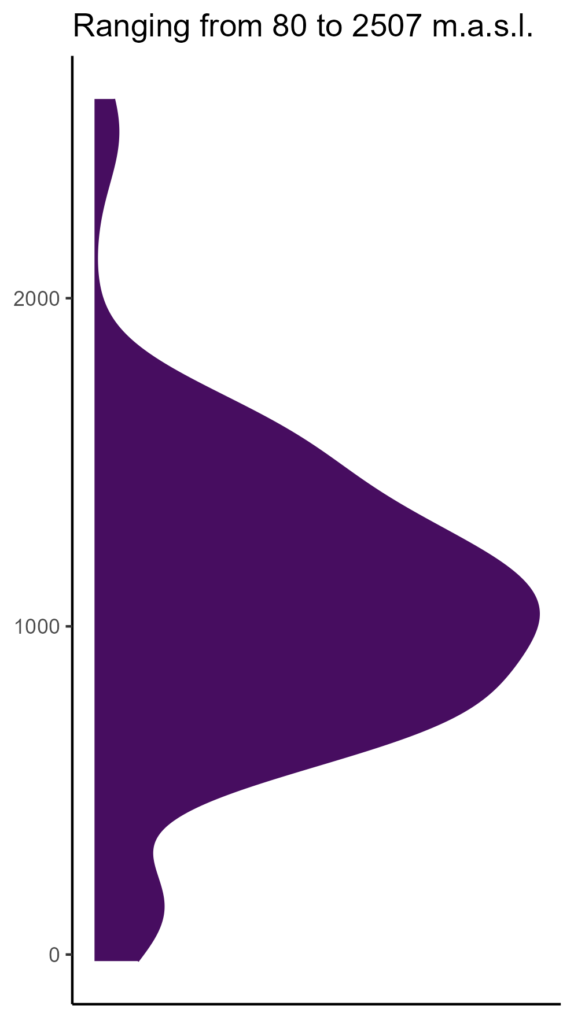 20260120 Vxp340 Elev 1 574x1024