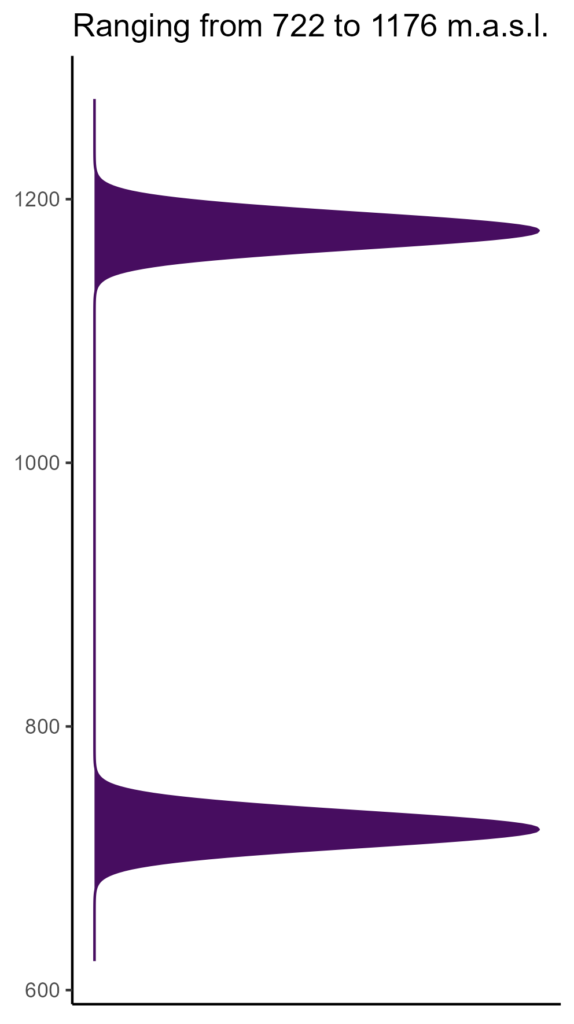 20260120 Vxs181 Elev 574x1024