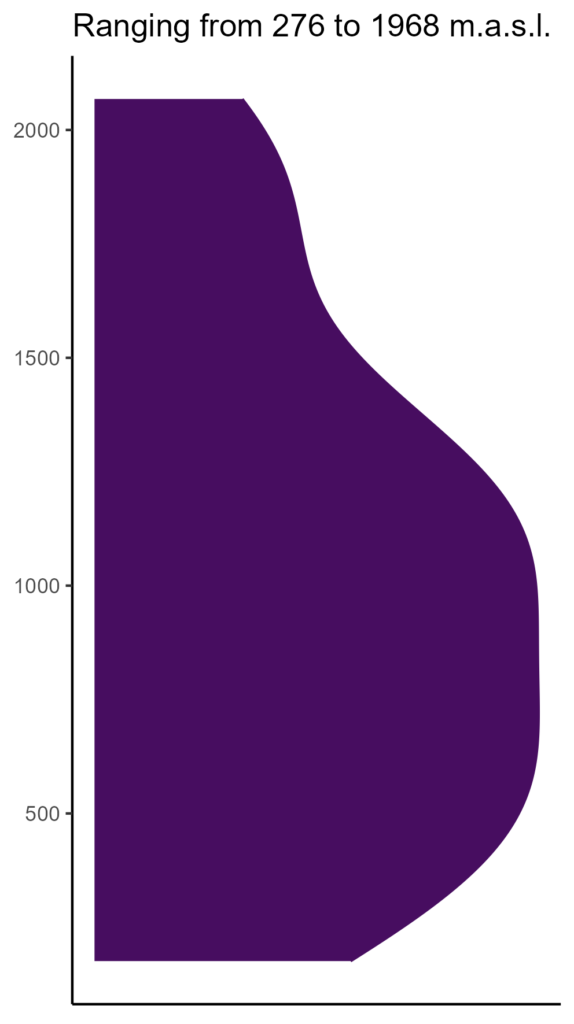 20260120 Vxs313 Elev 574x1024