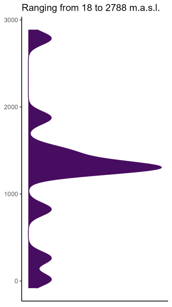 20260120 Vxs314 Elev 574x1024