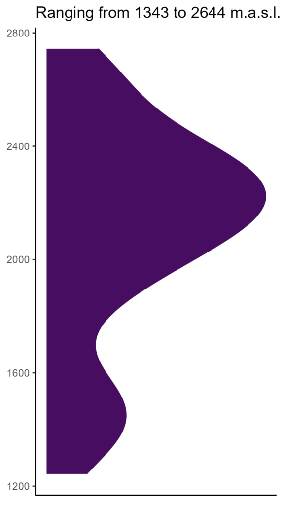 20260120 vxs315 elev