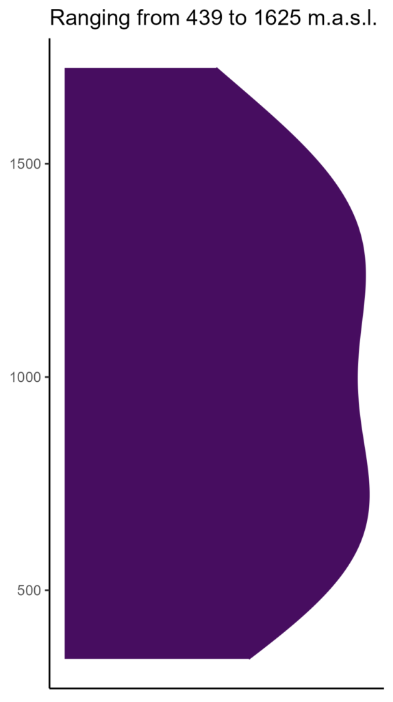 20260120 Vxs339 Elev 574x1024