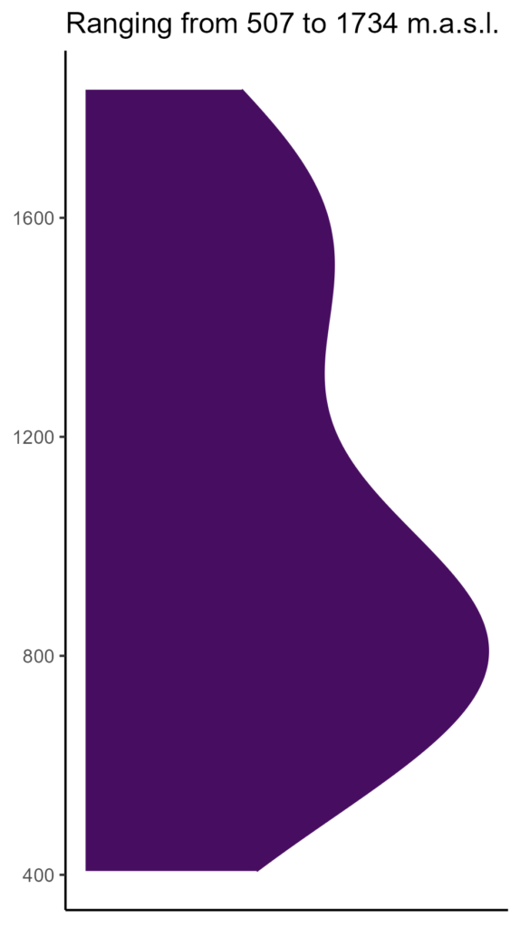 20260120 Vxv133 Elev 574x1024