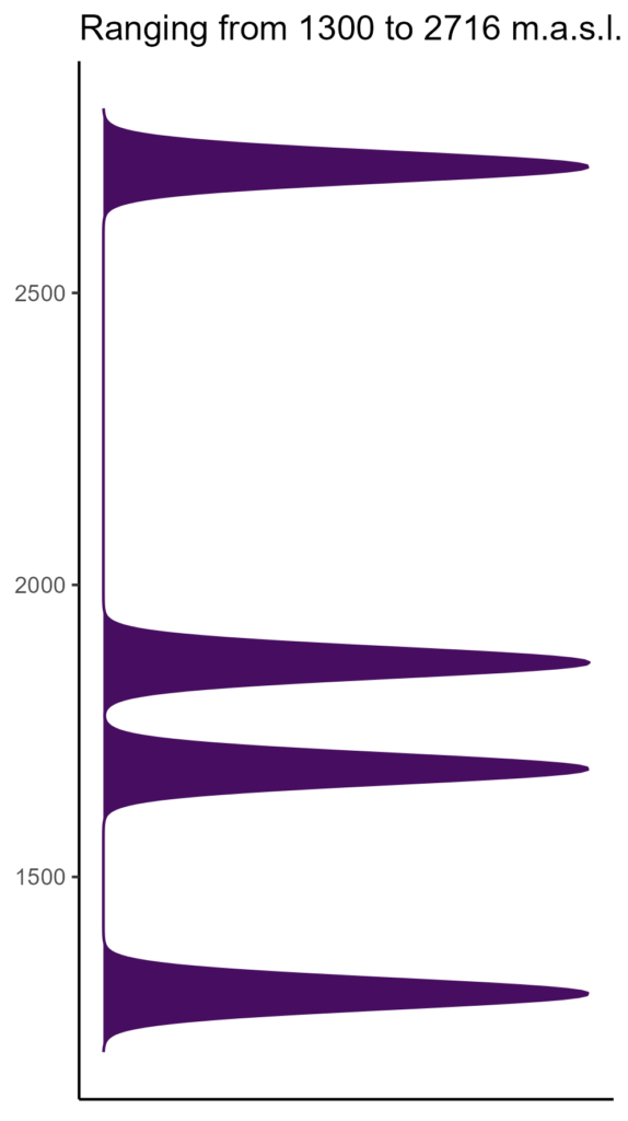 20260120 Vxv193 Elev 574x1024