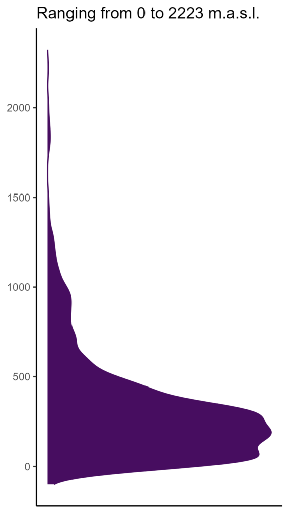 20260120 wwi194 elev