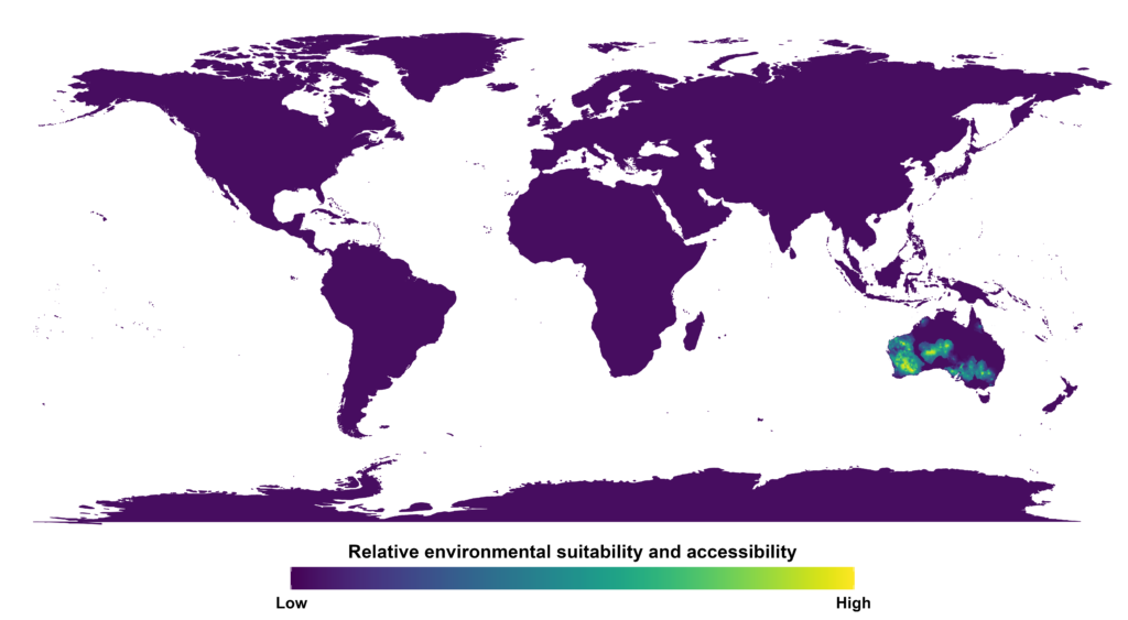 Hemionitis canescens Pcl051 Map V1 1024x563
